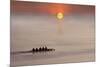 Row,Row,Row Your Boat-Adrian Campfield-Mounted Photographic Print