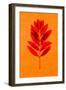 Rowan Leaves-Graeme Harris-Framed Giclee Print