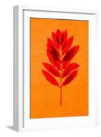 Rowan Leaves-Graeme Harris-Framed Giclee Print