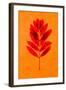 Rowan Leaves-Graeme Harris-Framed Giclee Print