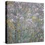 Rowan Tapestry-Doug Chinnery-Stretched Canvas
