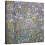 Rowan Tapestry-Doug Chinnery-Stretched Canvas