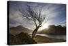 Rowan Tree Silhouetted Above Loch Lurgainn with Cul Mor (Left) and Ben More Coigach Beyond, UK-Mark Hamblin-Stretched Canvas