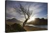 Rowan Tree Silhouetted Above Loch Lurgainn with Cul Mor (Left) and Ben More Coigach Beyond, UK-Mark Hamblin-Stretched Canvas