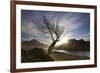 Rowan Tree Silhouetted Above Loch Lurgainn with Cul Mor (Left) and Ben More Coigach Beyond, UK-Mark Hamblin-Framed Photographic Print