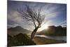 Rowan Tree Silhouetted Above Loch Lurgainn with Cul Mor (Left) and Ben More Coigach Beyond, UK-Mark Hamblin-Mounted Photographic Print