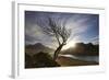 Rowan Tree Silhouetted Above Loch Lurgainn with Cul Mor (Left) and Ben More Coigach Beyond, UK-Mark Hamblin-Framed Photographic Print