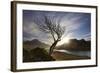 Rowan Tree Silhouetted Above Loch Lurgainn with Cul Mor (Left) and Ben More Coigach Beyond, UK-Mark Hamblin-Framed Photographic Print