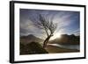 Rowan Tree Silhouetted Above Loch Lurgainn with Cul Mor (Left) and Ben More Coigach Beyond, UK-Mark Hamblin-Framed Photographic Print