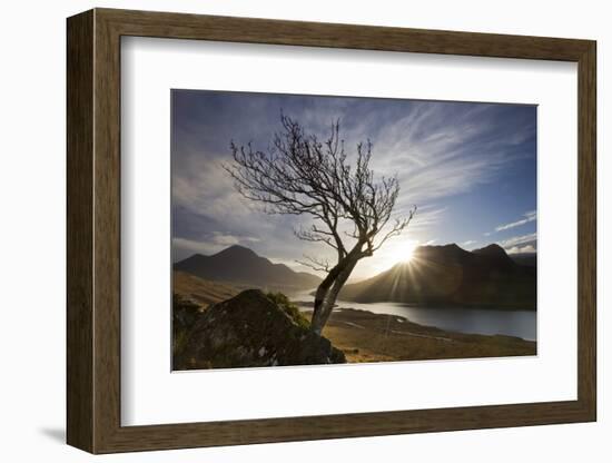 Rowan Tree Silhouetted Above Loch Lurgainn with Cul Mor (Left) and Ben More Coigach Beyond, UK-Mark Hamblin-Framed Photographic Print