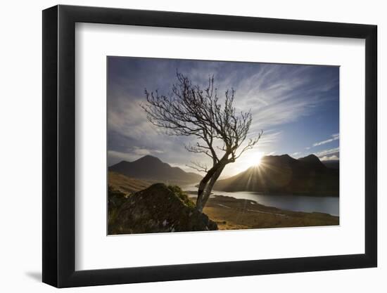 Rowan Tree Silhouetted Above Loch Lurgainn with Cul Mor (Left) and Ben More Coigach Beyond, UK-Mark Hamblin-Framed Photographic Print