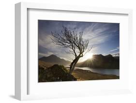 Rowan Tree Silhouetted Above Loch Lurgainn with Cul Mor (Left) and Ben More Coigach Beyond, UK-Mark Hamblin-Framed Photographic Print