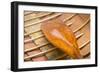 Rowboat Oar II-Kathy Mahan-Framed Photographic Print