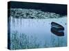 Rowboat on Lake Surrounded by Water Lilies, Lake District National Park, England-Tom Haseltine-Stretched Canvas