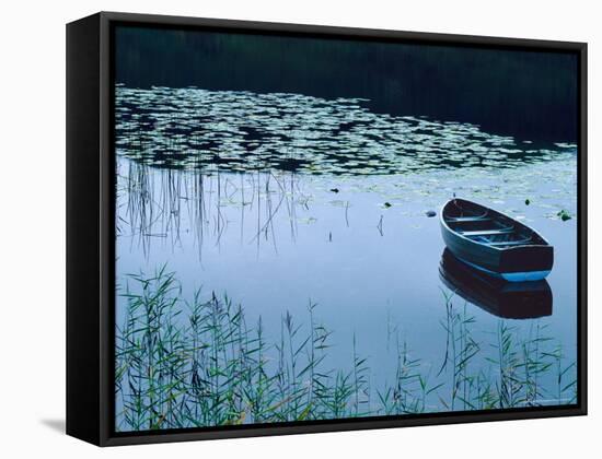 Rowboat on Lake Surrounded by Water Lilies, Lake District National Park, England-Tom Haseltine-Framed Stretched Canvas