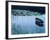 Rowboat on Lake Surrounded by Water Lilies, Lake District National Park, England-Tom Haseltine-Framed Photographic Print