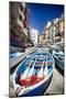 Rowboats of Riomaggiore, Cinque Terre, Italy-George Oze-Mounted Photographic Print