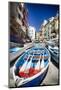 Rowboats of Riomaggiore, Cinque Terre, Italy-George Oze-Mounted Photographic Print