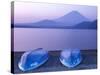 Rowboats on Motosu Lake with Mt. Fuji in the Background, Yamanashi, Japan-Rob Tilley-Stretched Canvas