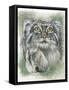 Rowdy-Barbara Keith-Framed Stretched Canvas