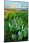 Rowena Flower Field and Rainbow-Vincent James-Mounted Photographic Print