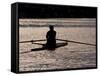 Rower in Portage Bay, Seattle, Washington, USA-William Sutton-Framed Stretched Canvas