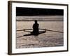 Rower in Portage Bay, Seattle, Washington, USA-William Sutton-Framed Photographic Print