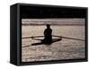 Rower in Portage Bay, Seattle, Washington, USA-William Sutton-Framed Stretched Canvas