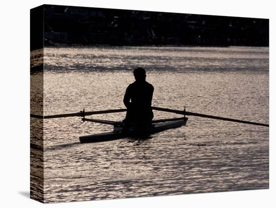 Rower in Portage Bay, Seattle, Washington, USA-William Sutton-Stretched Canvas