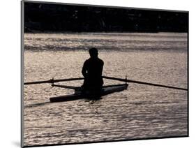 Rower in Portage Bay, Seattle, Washington, USA-William Sutton-Mounted Photographic Print