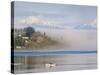 Rower with Fog Bank, Bainbridge Island, Washington, USA-Trish Drury-Stretched Canvas