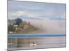 Rower with Fog Bank, Bainbridge Island, Washington, USA-Trish Drury-Mounted Photographic Print