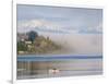 Rower with Fog Bank, Bainbridge Island, Washington, USA-Trish Drury-Framed Photographic Print