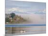 Rower with Fog Bank, Bainbridge Island, Washington, USA-Trish Drury-Mounted Photographic Print