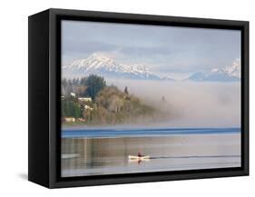 Rower with Fog Bank, Bainbridge Island, Washington, USA-Trish Drury-Framed Stretched Canvas