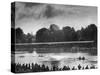 Rowers Competing in Rowing Event on Thames River-Ed Clark-Stretched Canvas