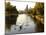 Rowers in Lincoln Park lagoon at dawn, Chicago, Illinois, USA-Alan Klehr-Mounted Photographic Print