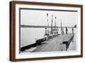 Brown Frame