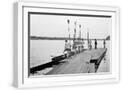 White Frame
