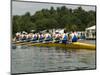 Rowing at the Henley Royal Regatta, Henley on Thames, England, United Kingdom-R H Productions-Mounted Photographic Print