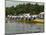 Rowing at the Henley Royal Regatta, Henley on Thames, England, United Kingdom-R H Productions-Mounted Photographic Print