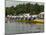 Rowing at the Henley Royal Regatta, Henley on Thames, England, United Kingdom-R H Productions-Mounted Photographic Print