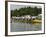 Rowing at the Henley Royal Regatta, Henley on Thames, England, United Kingdom-R H Productions-Framed Photographic Print