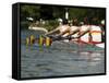 Rowing at the Henley Royal Regatta, Henley on Thames, England, United Kingdom-R H Productions-Framed Stretched Canvas