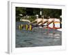 Rowing at the Henley Royal Regatta, Henley on Thames, England, United Kingdom-R H Productions-Framed Photographic Print