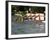 Rowing at the Henley Royal Regatta, Henley on Thames, England, United Kingdom-R H Productions-Framed Photographic Print