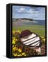 Rowing Boat and Flower Display, South Cliff Gardens, Scarborough, North Yorkshire, England-Mark Sunderland-Framed Stretched Canvas