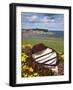 Rowing Boat and Flower Display, South Cliff Gardens, Scarborough, North Yorkshire, England-Mark Sunderland-Framed Photographic Print