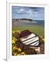 Rowing Boat and Flower Display, South Cliff Gardens, Scarborough, North Yorkshire, England-Mark Sunderland-Framed Photographic Print