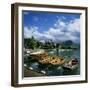 Rowing Boats Along Lake Shore, Talloires, Lake Annecy, Rhone Alpes, France, Europe-Stuart Black-Framed Photographic Print